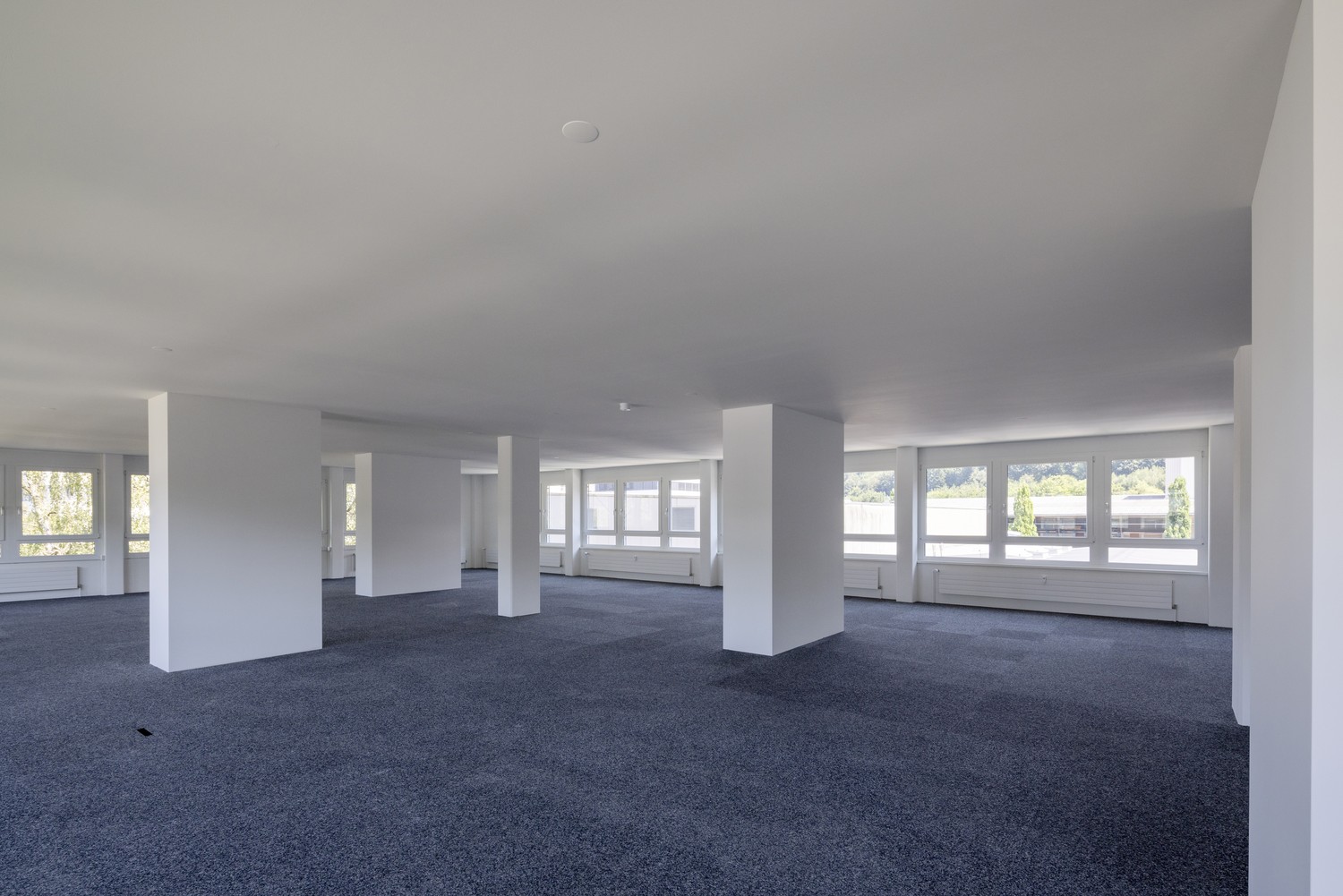 235m² office, photo 4 of 10