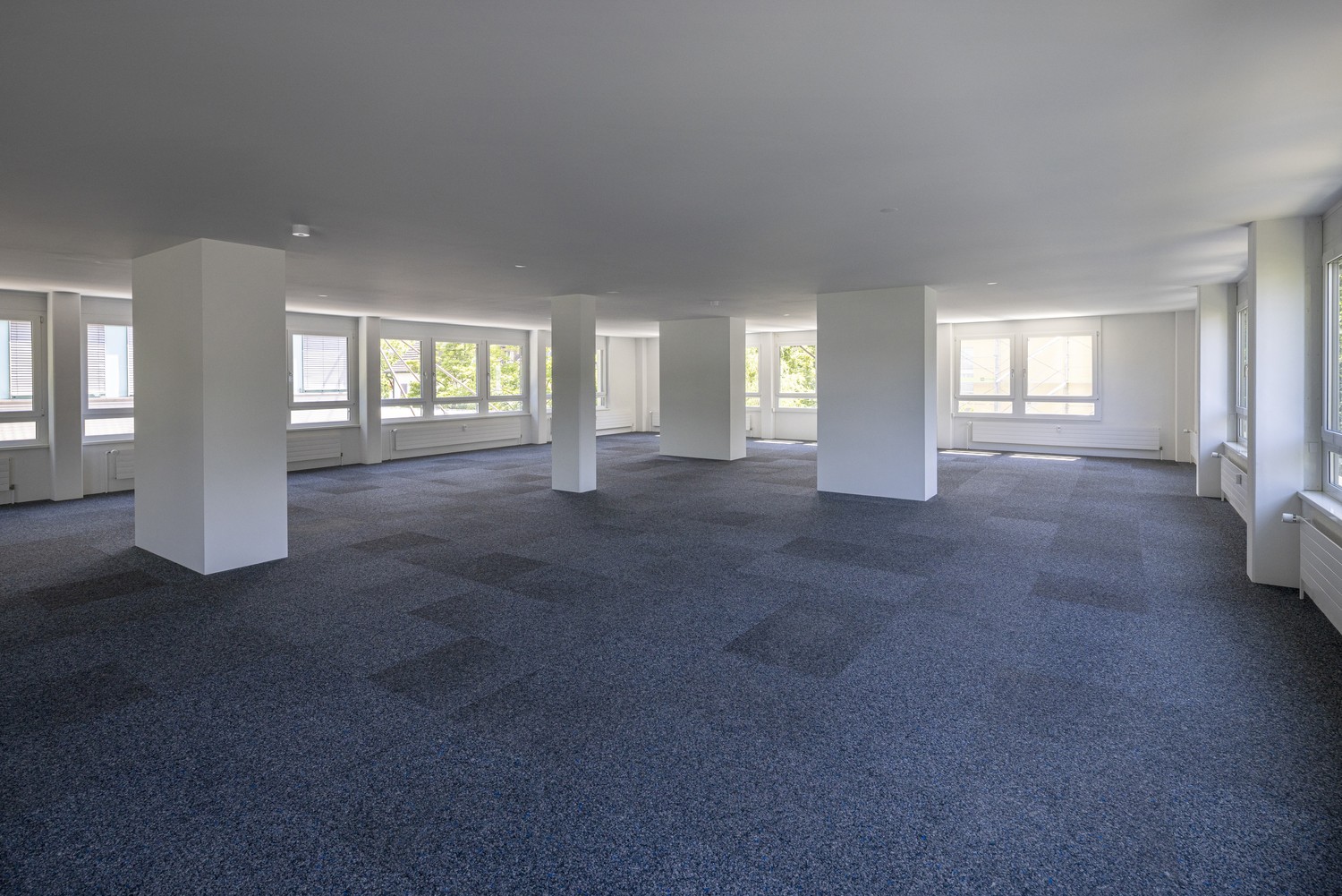 235m² office, photo 5 of 10