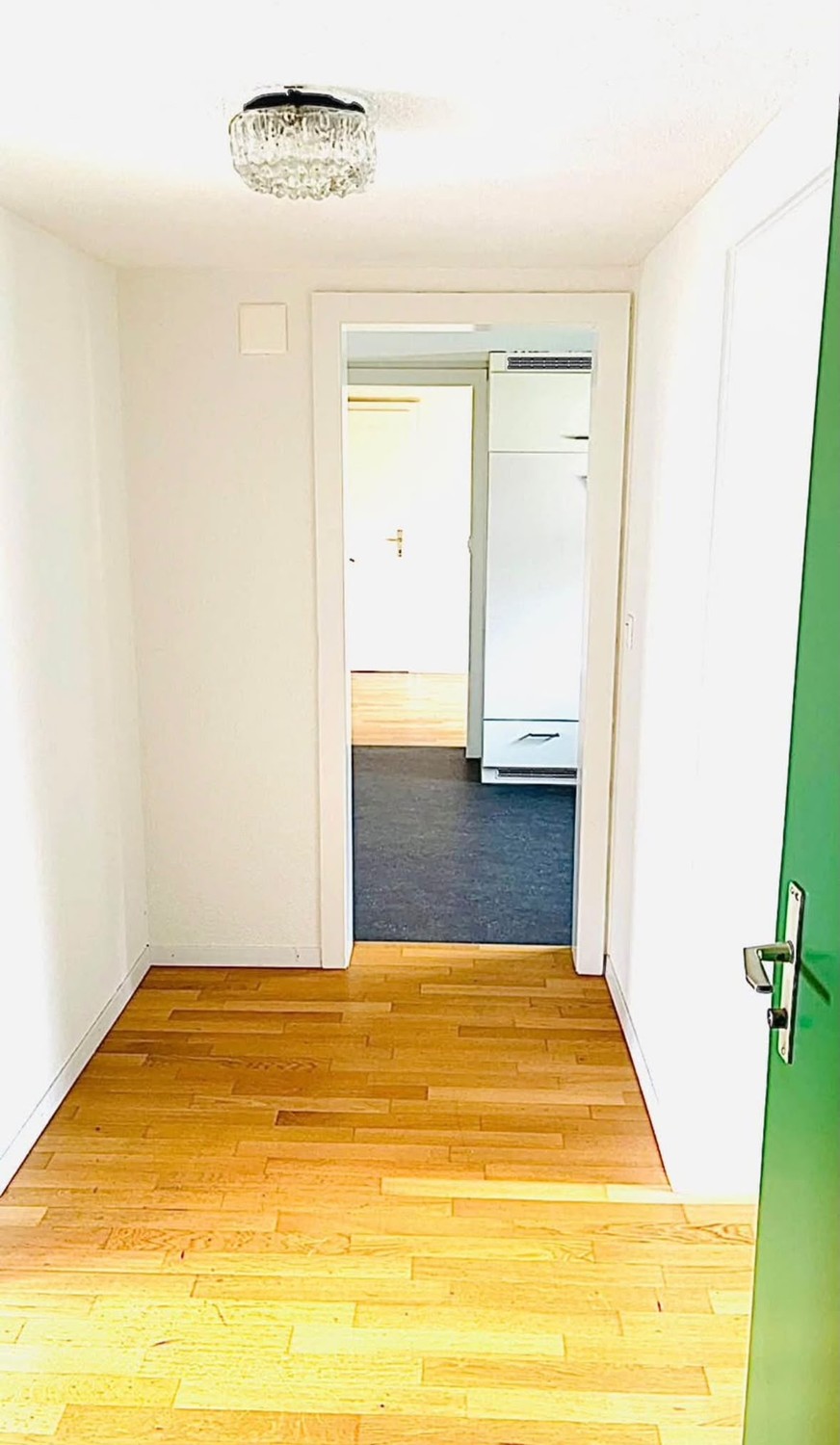 4 ½ pièces appartement