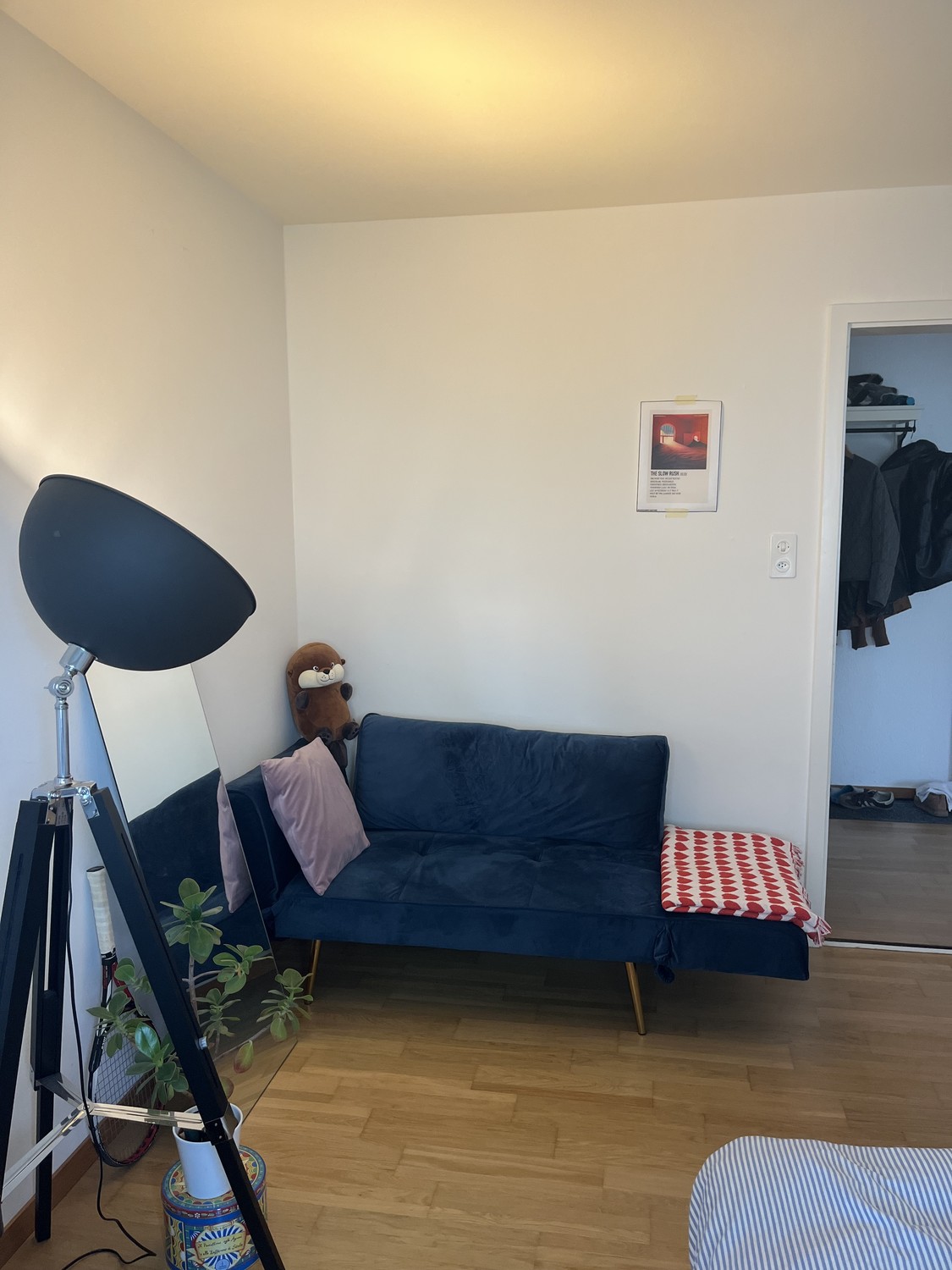 Room in a shared flat