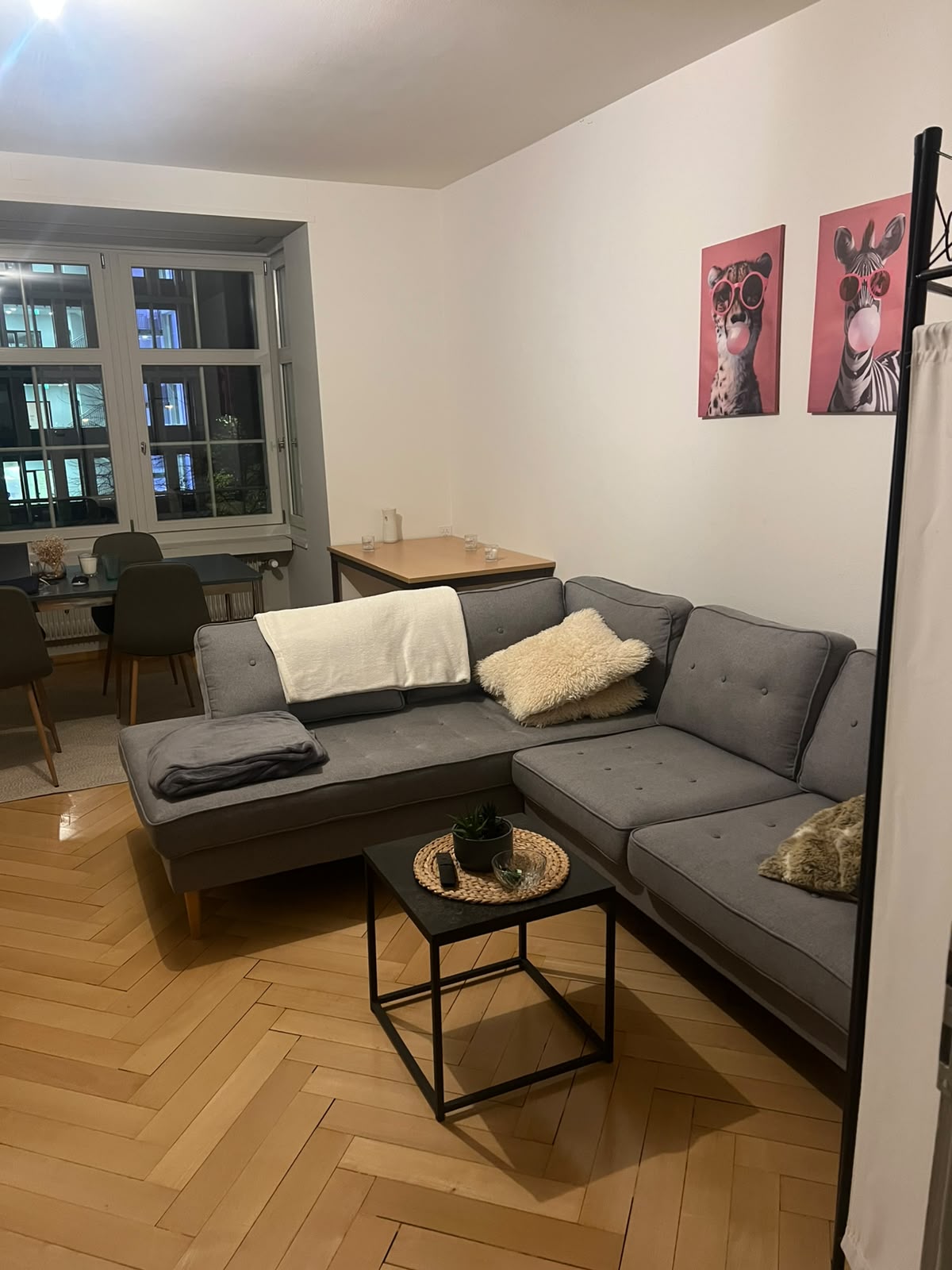 Room in a shared flat