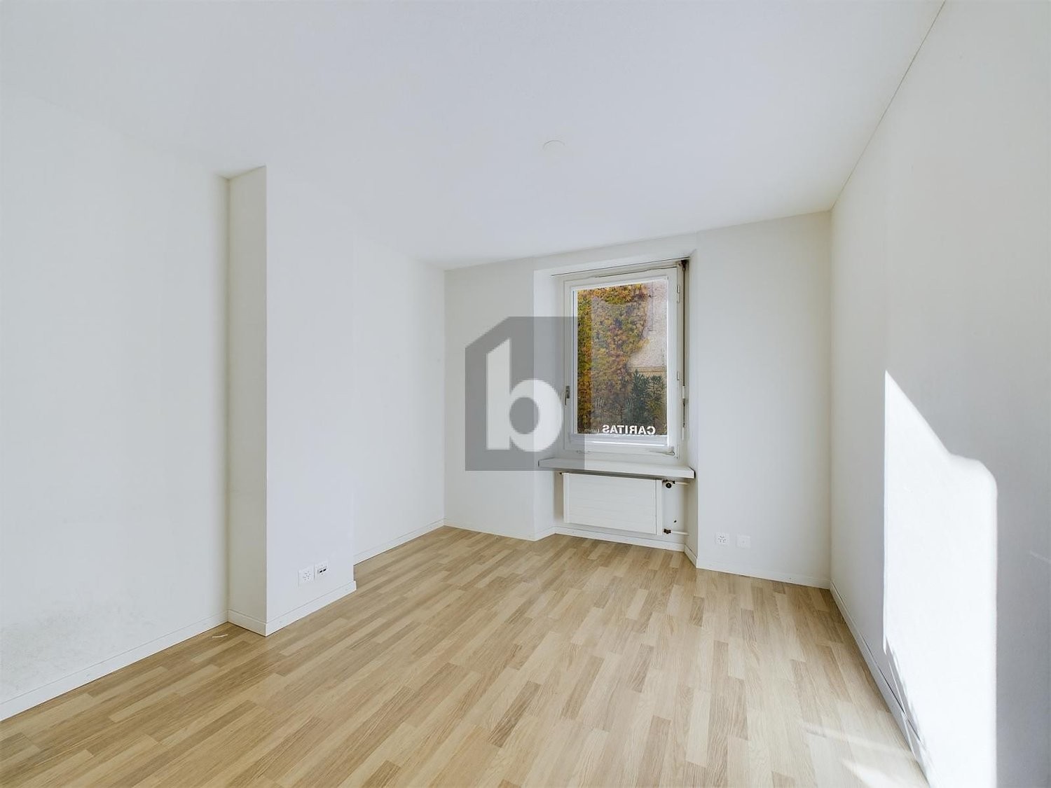 91m² bureau, photo 4 sur 4