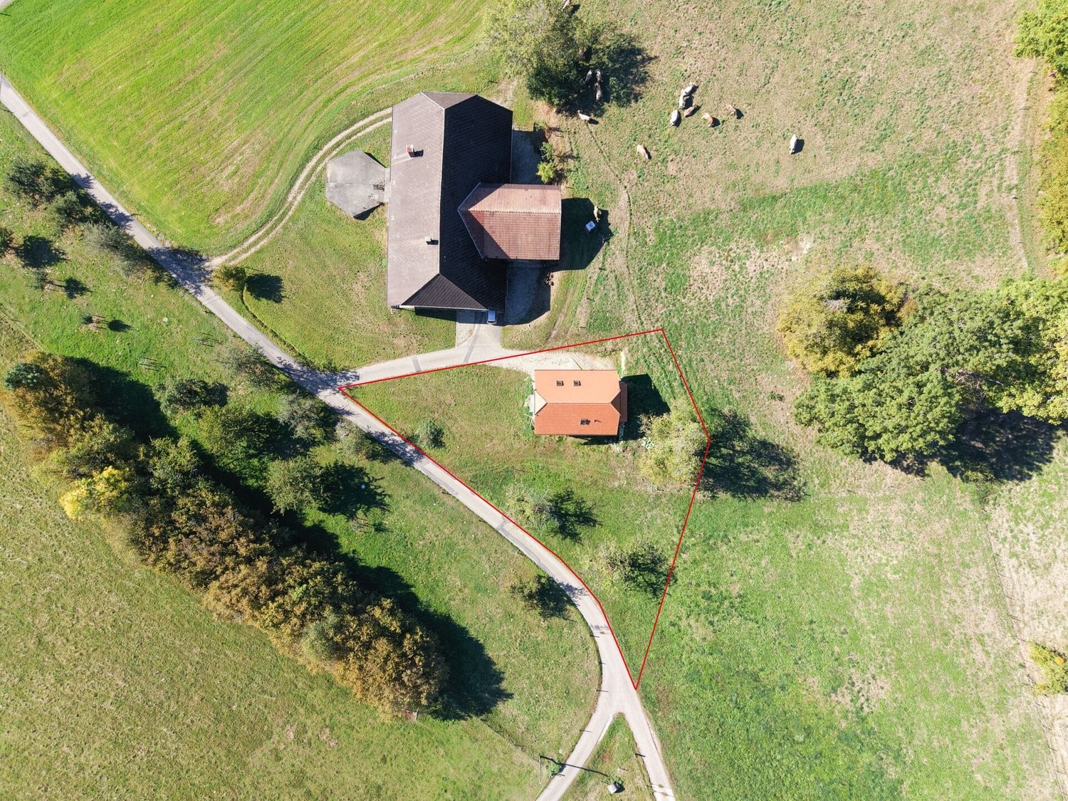 4 ½ locali granny flat