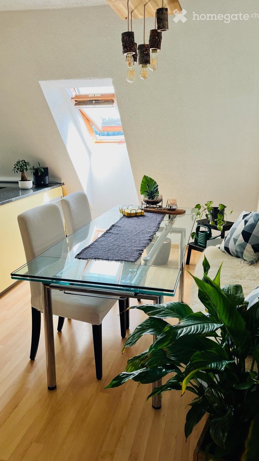 Appartement de 2 ½ pièces
