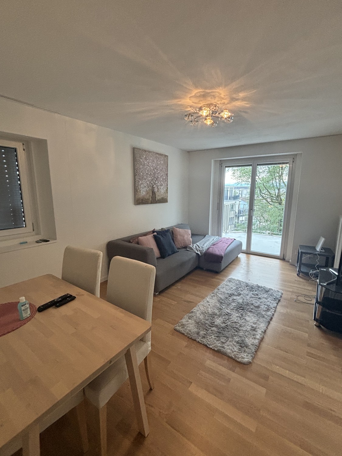 3 ½ rooms apartment, photo 2 of 10