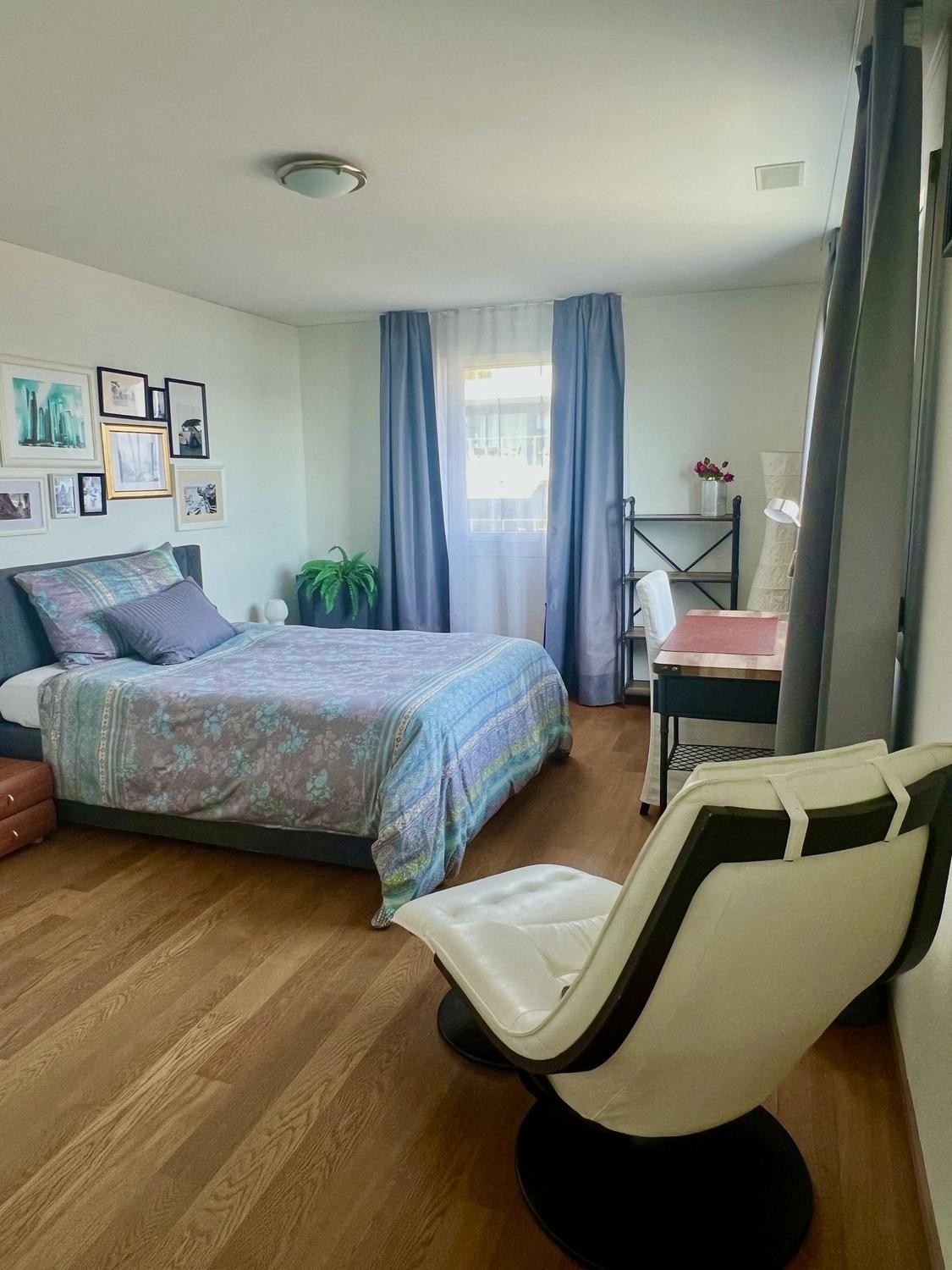 Room in a shared flat