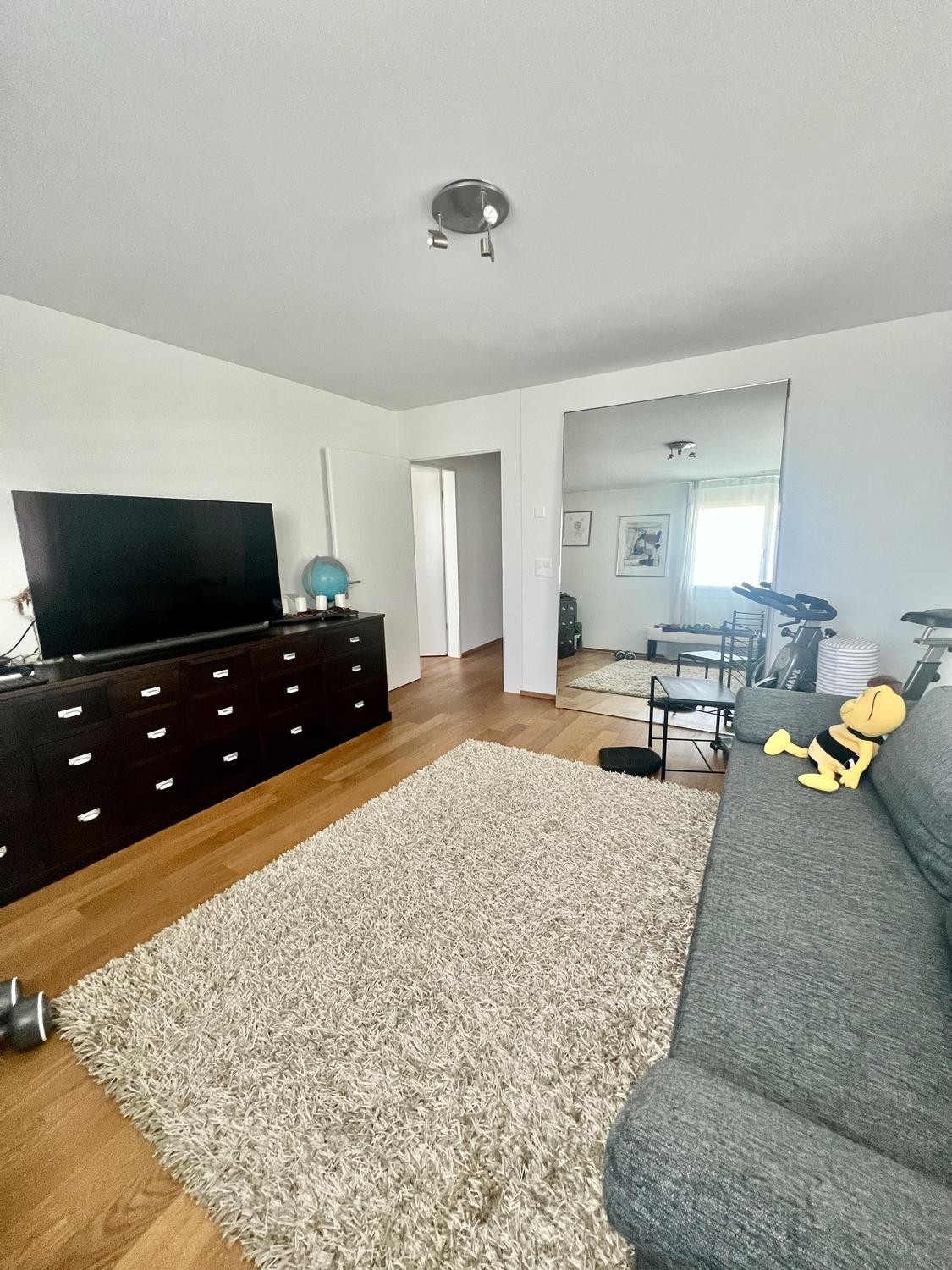 Room in a shared flat