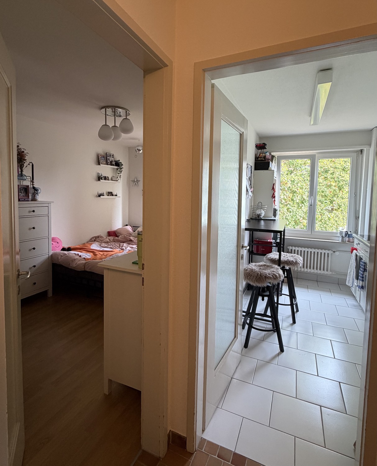 Room in a shared flat