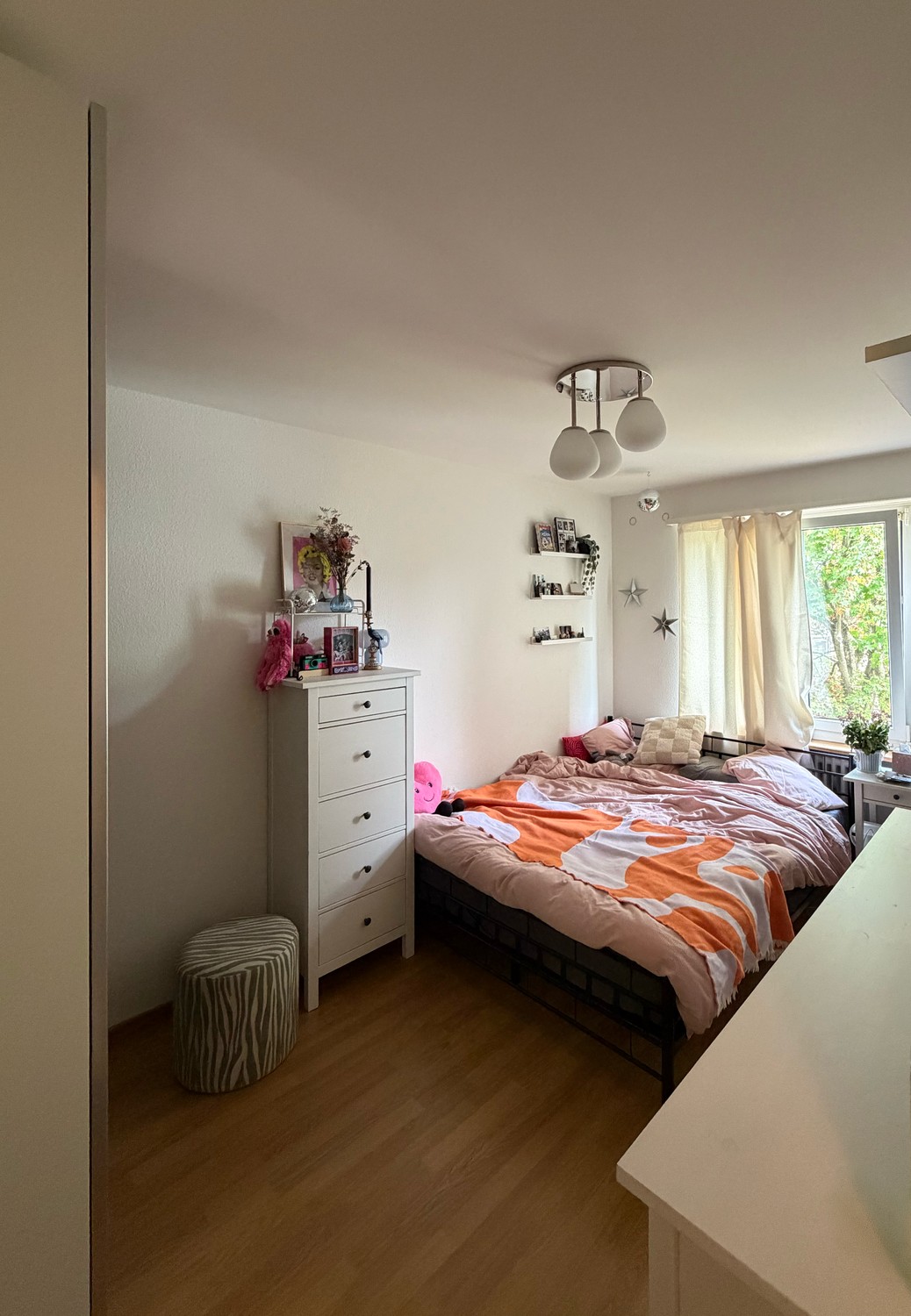 Room in a shared flat