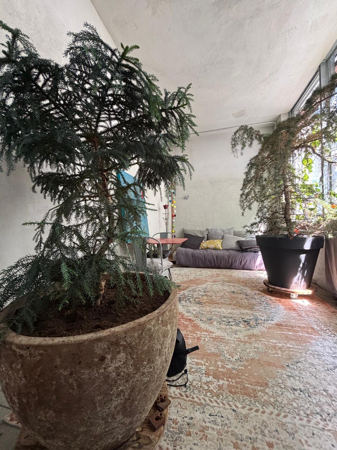 1 ½ rooms apartment