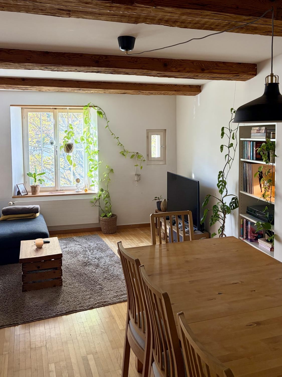 2 ½ rooms apartment