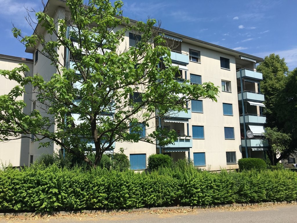 2 ½ pièces appartement