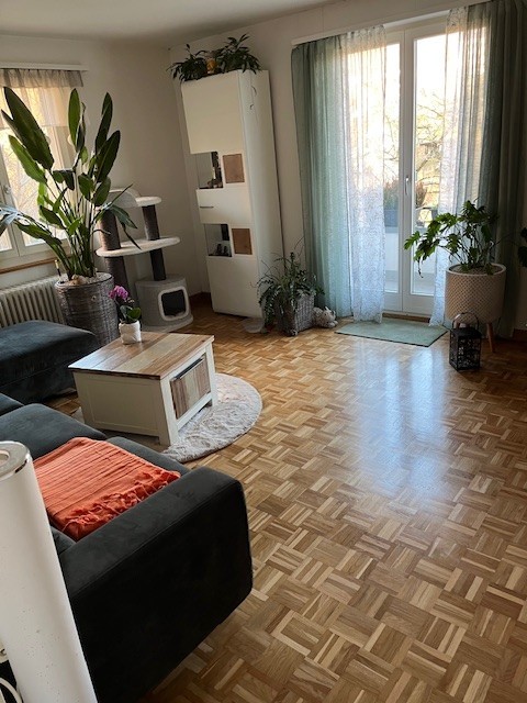 3 rooms apartment