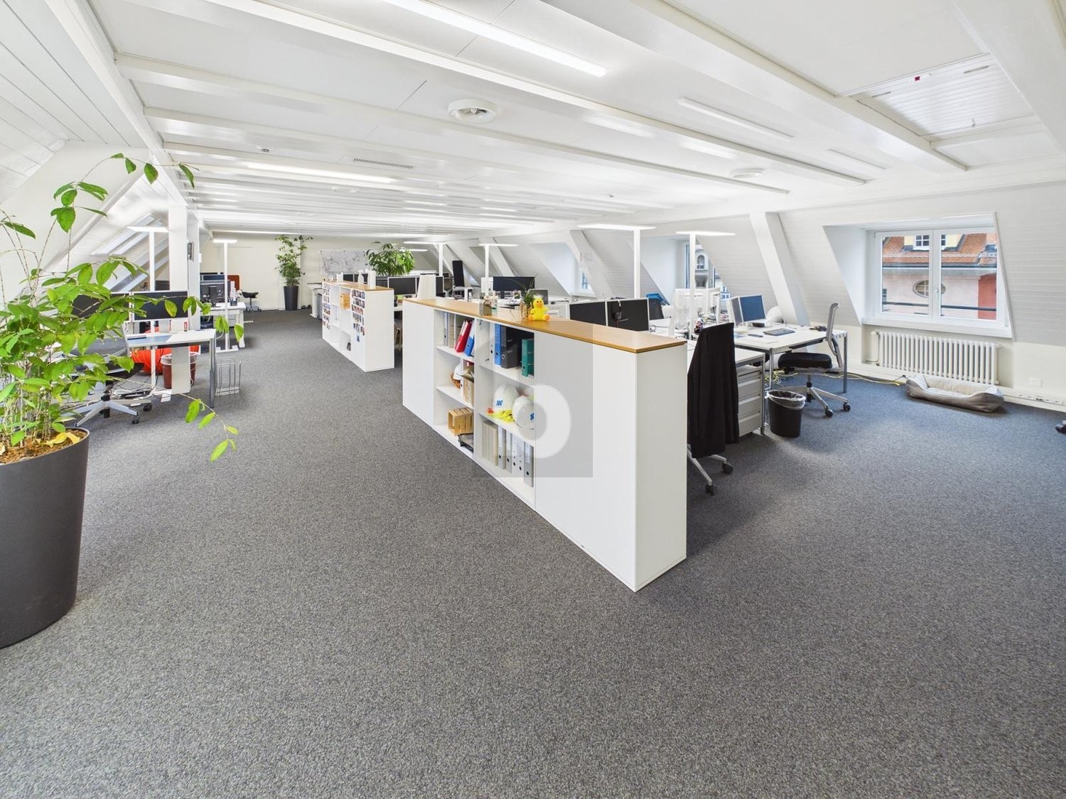 1480m² office