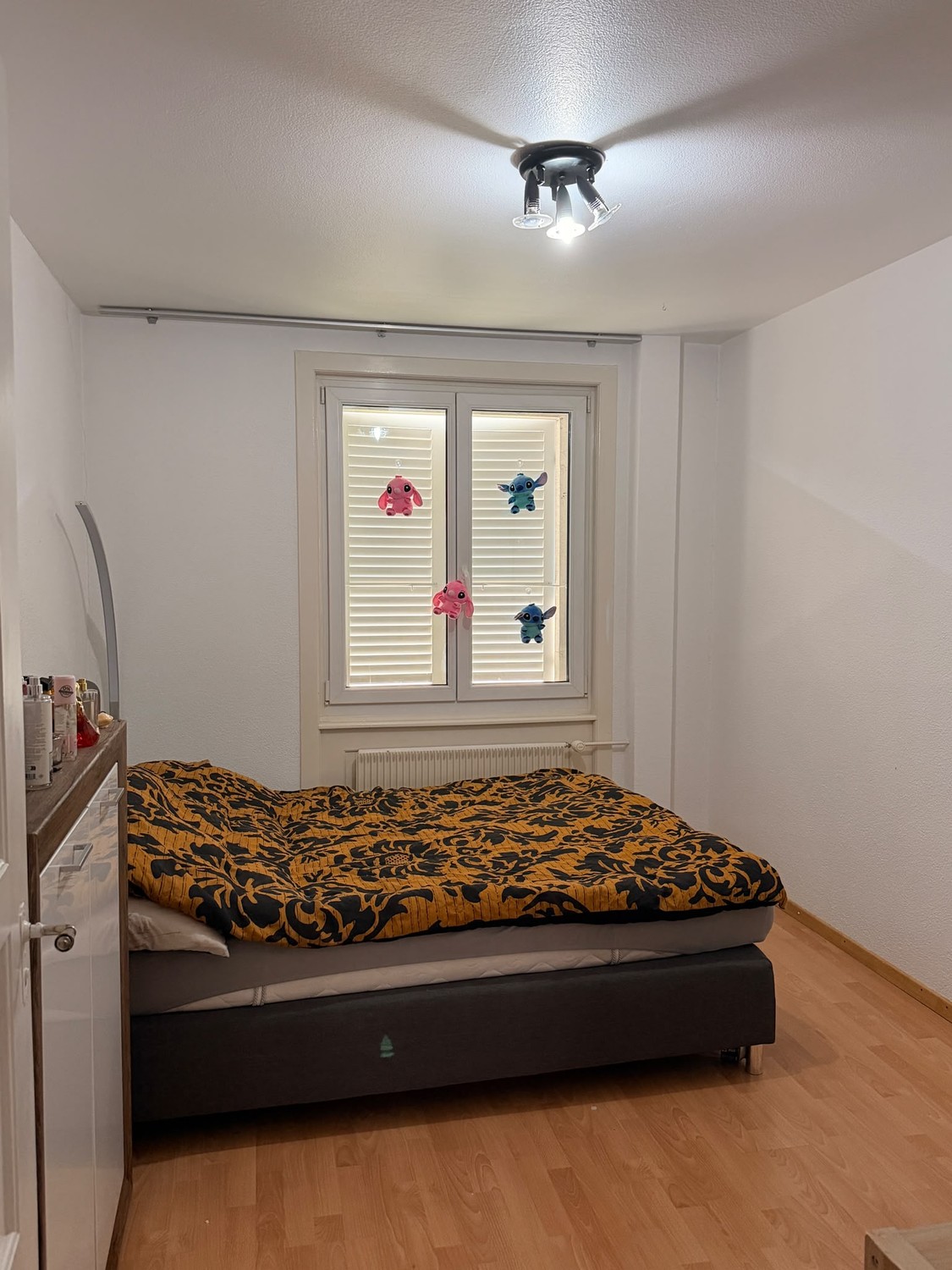 Appartamento di 3 ½ locali