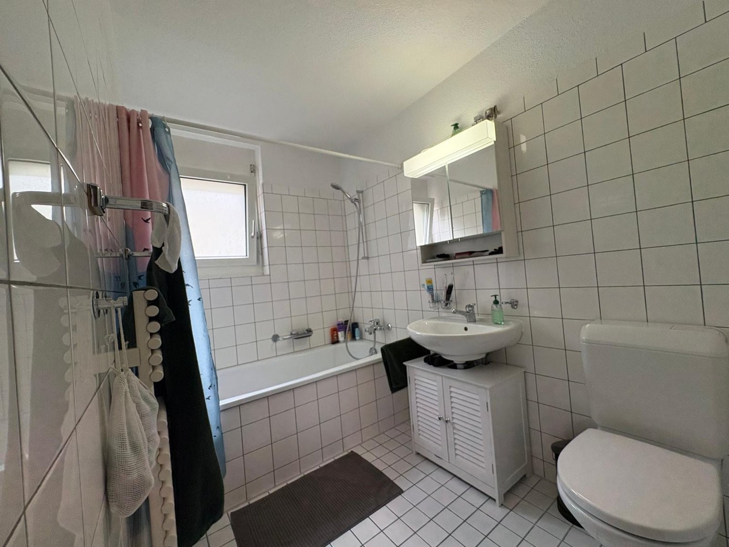 Appartamento arredato di 3 ½ locali