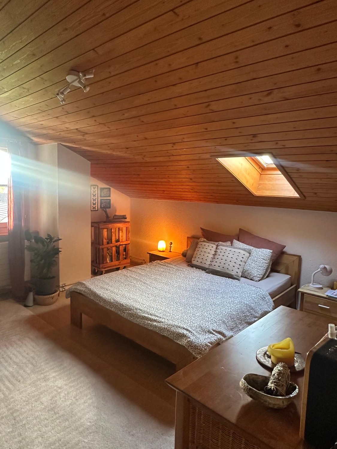 Room in a shared flat