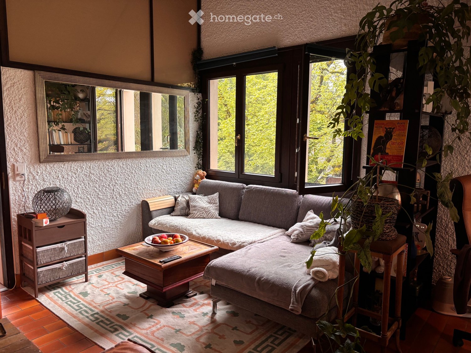 1 room single room