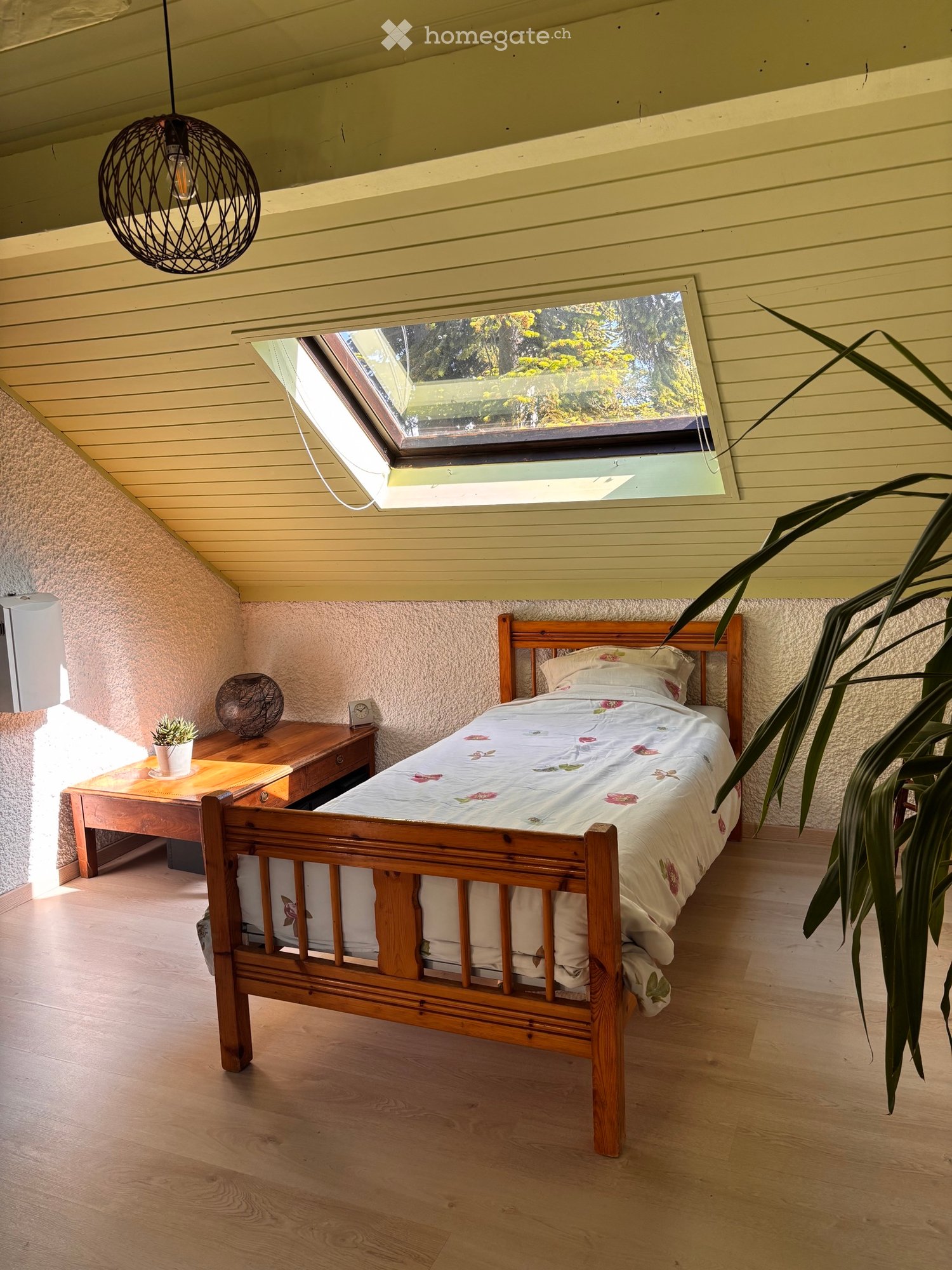 1 room single room