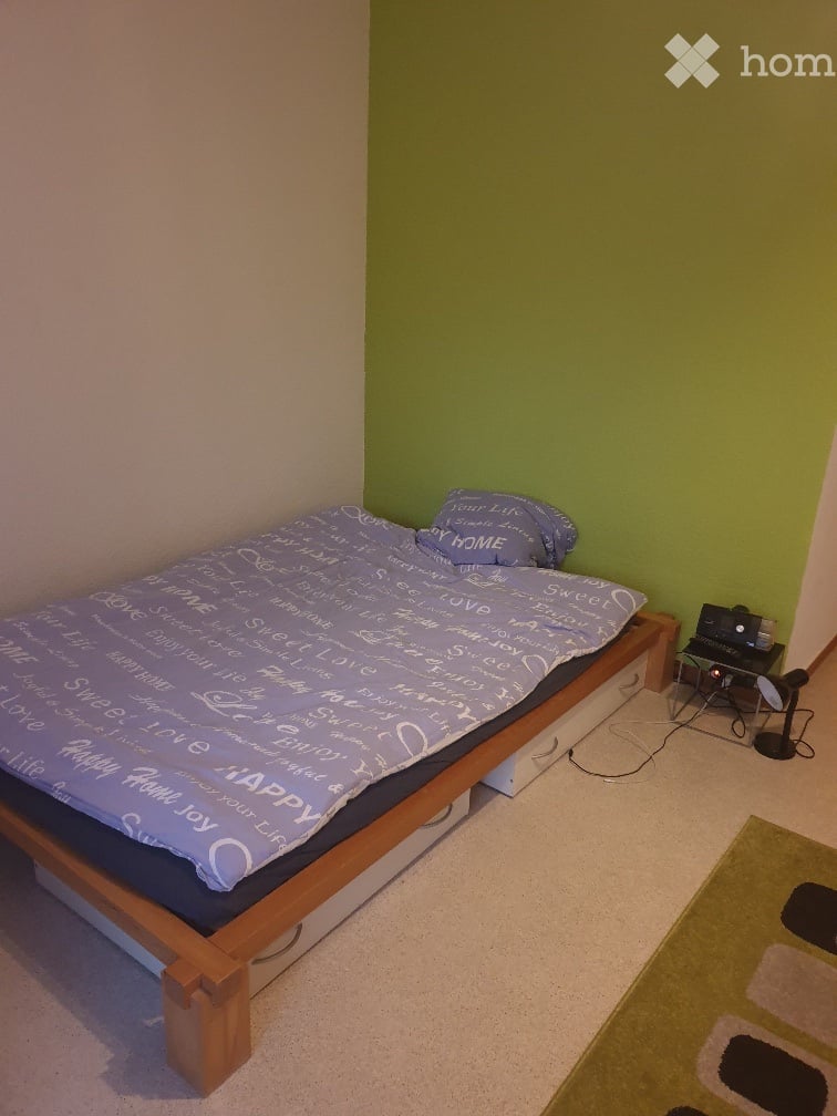 1 room apartment (3)
