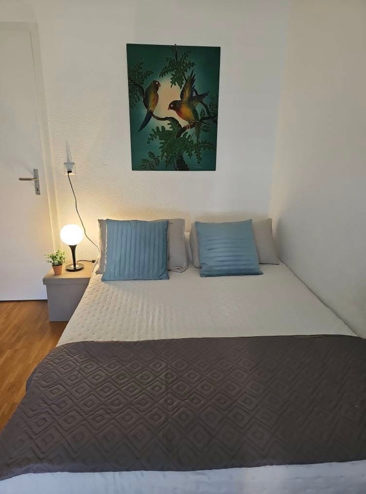 Room in a shared flat
