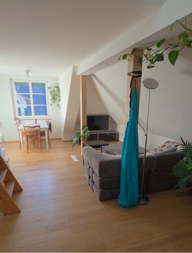 1 ½ rooms apartment