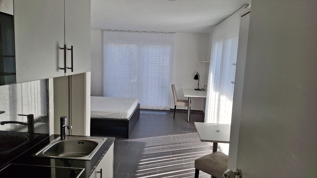 1 ½ rooms apartment, photo 6 sur 10