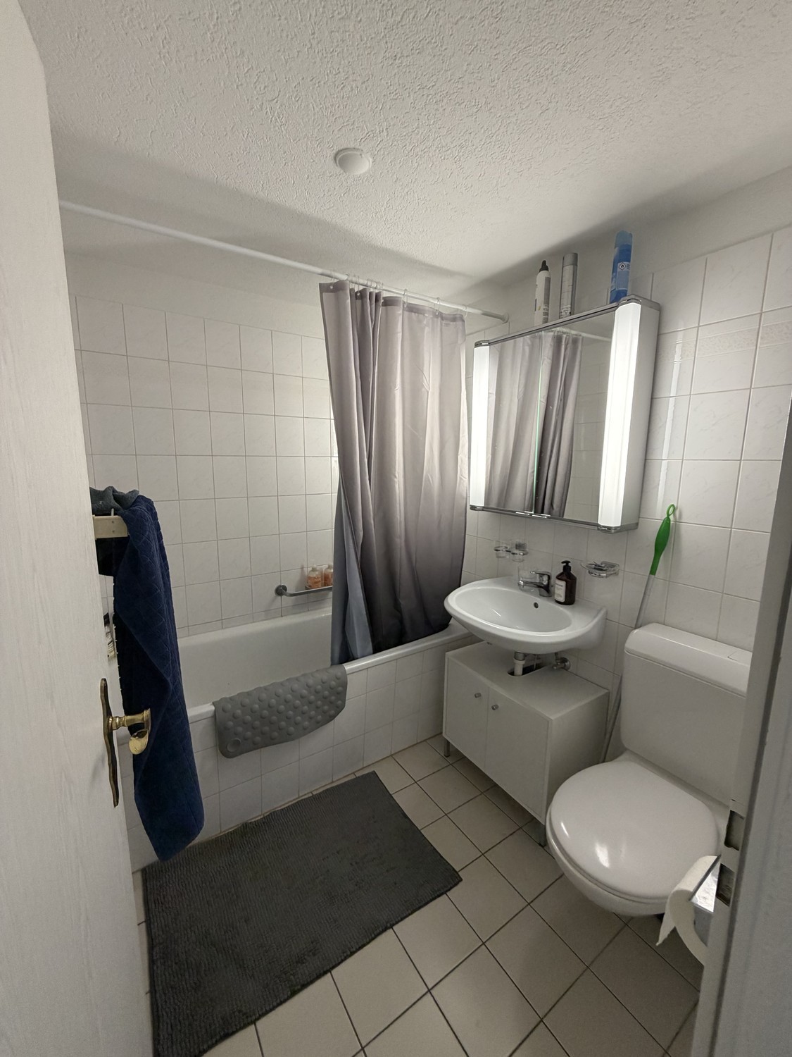 3 ½ Zimmer-Wohnung