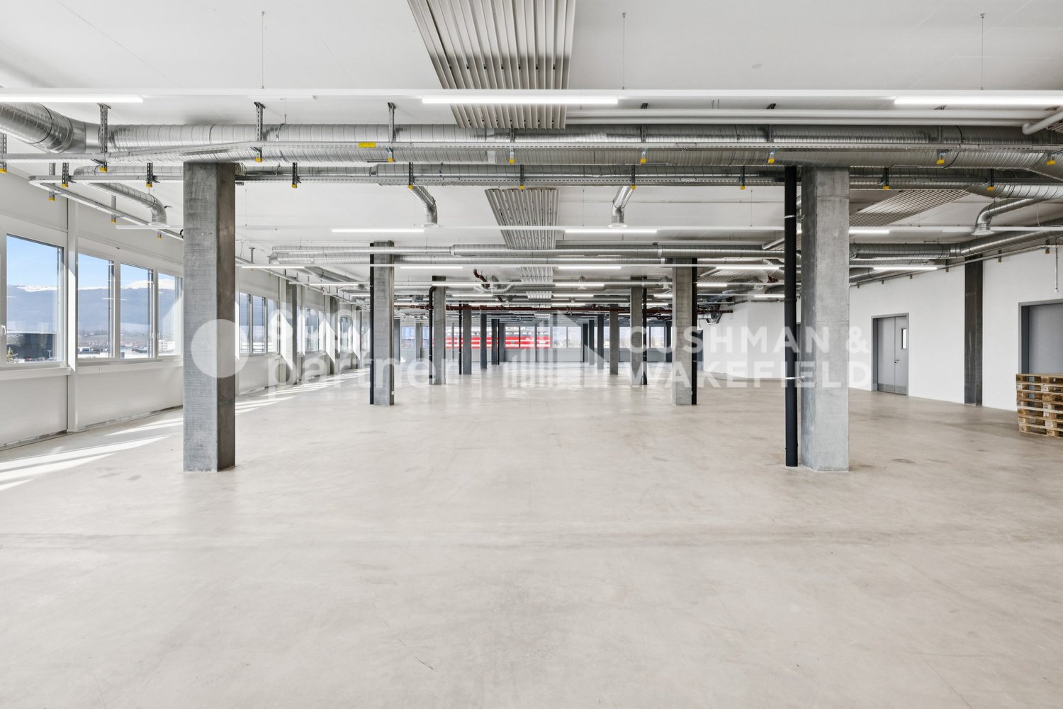 1000m² commerciale