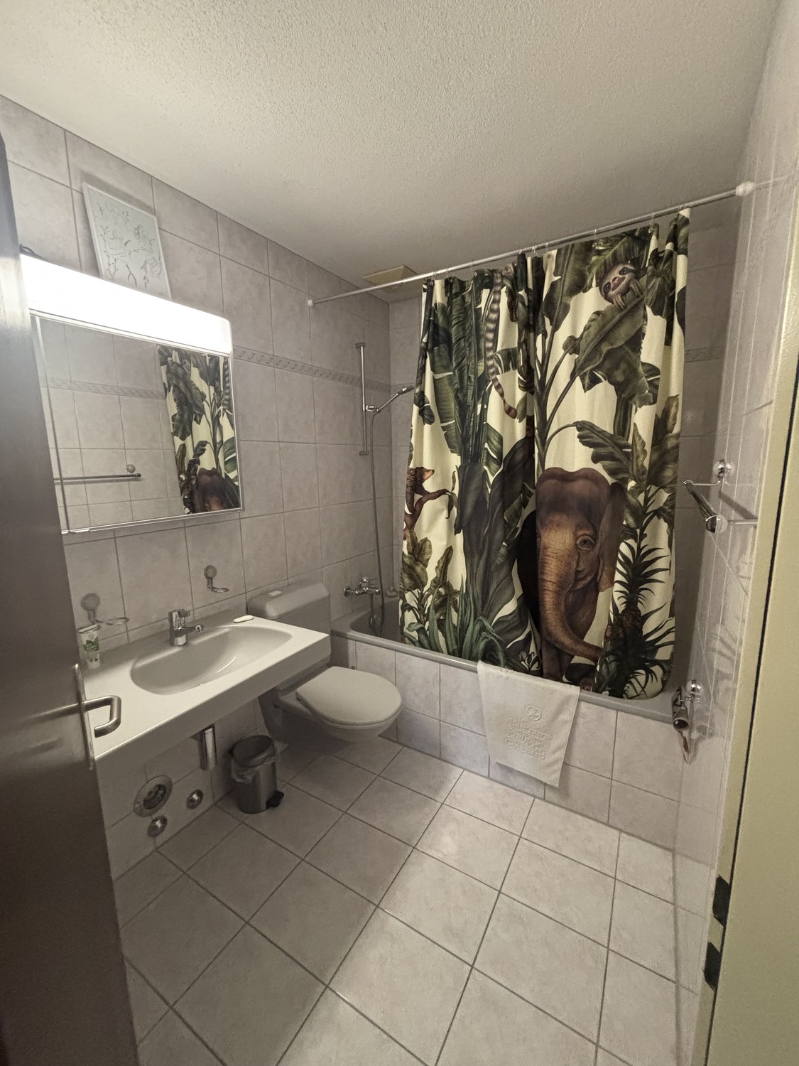 2 ½ Zimmer-Wohnung
