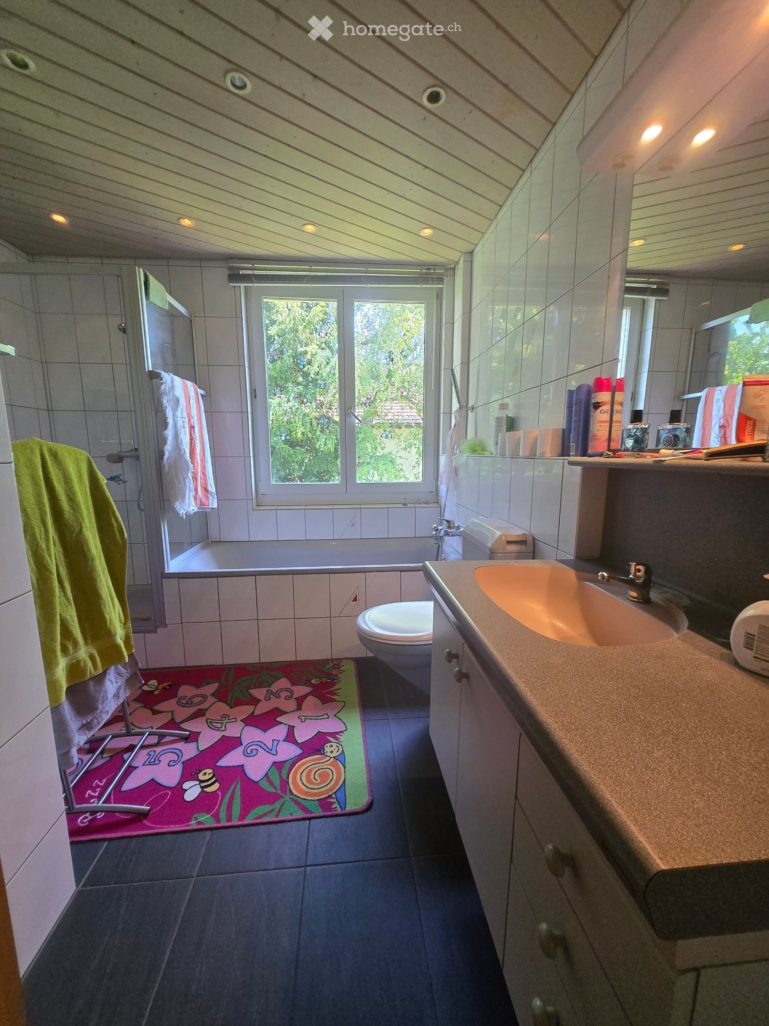 4 ½ rooms apartment