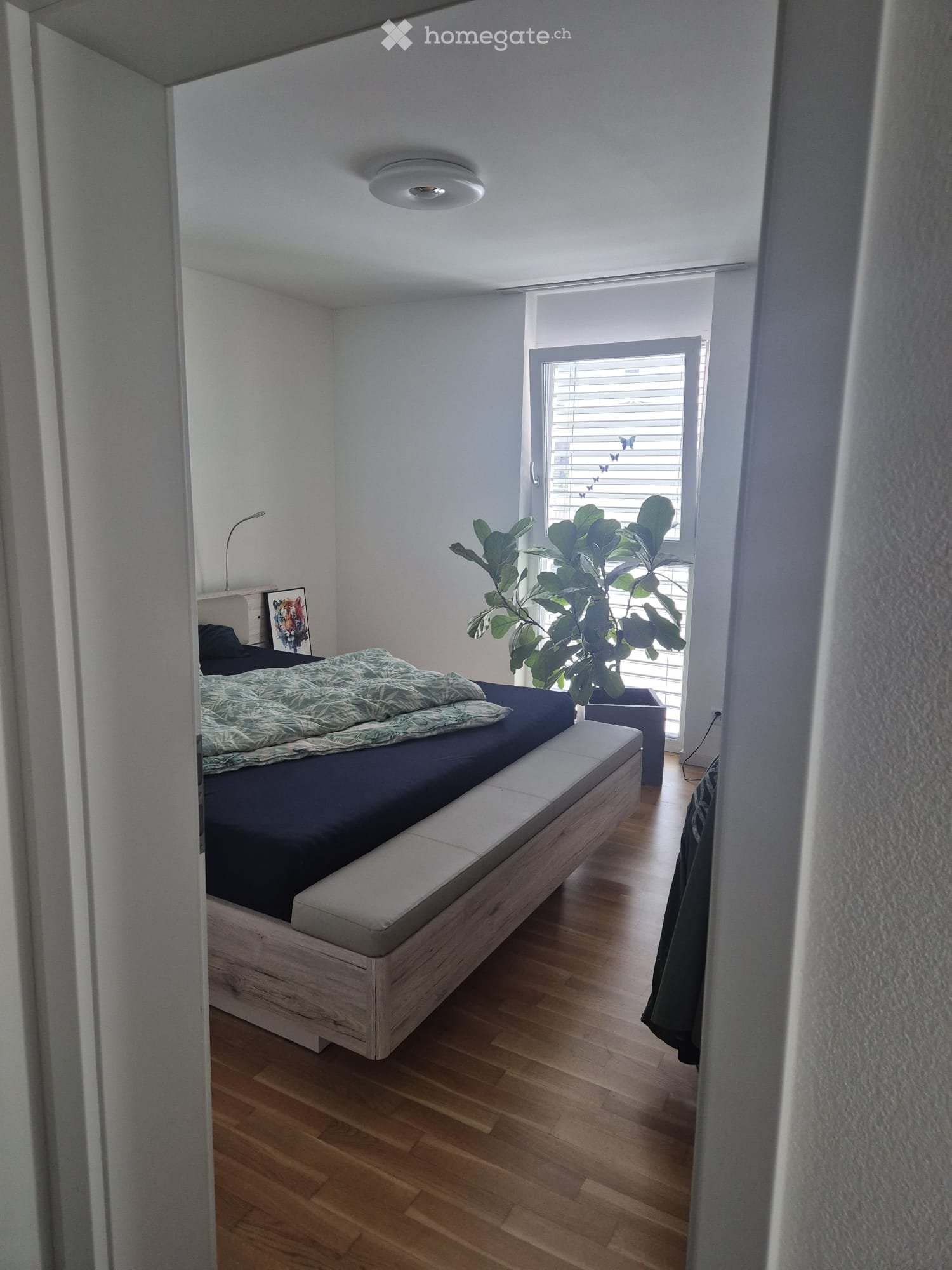 3 ½ rooms apartment, photo 3 of 5