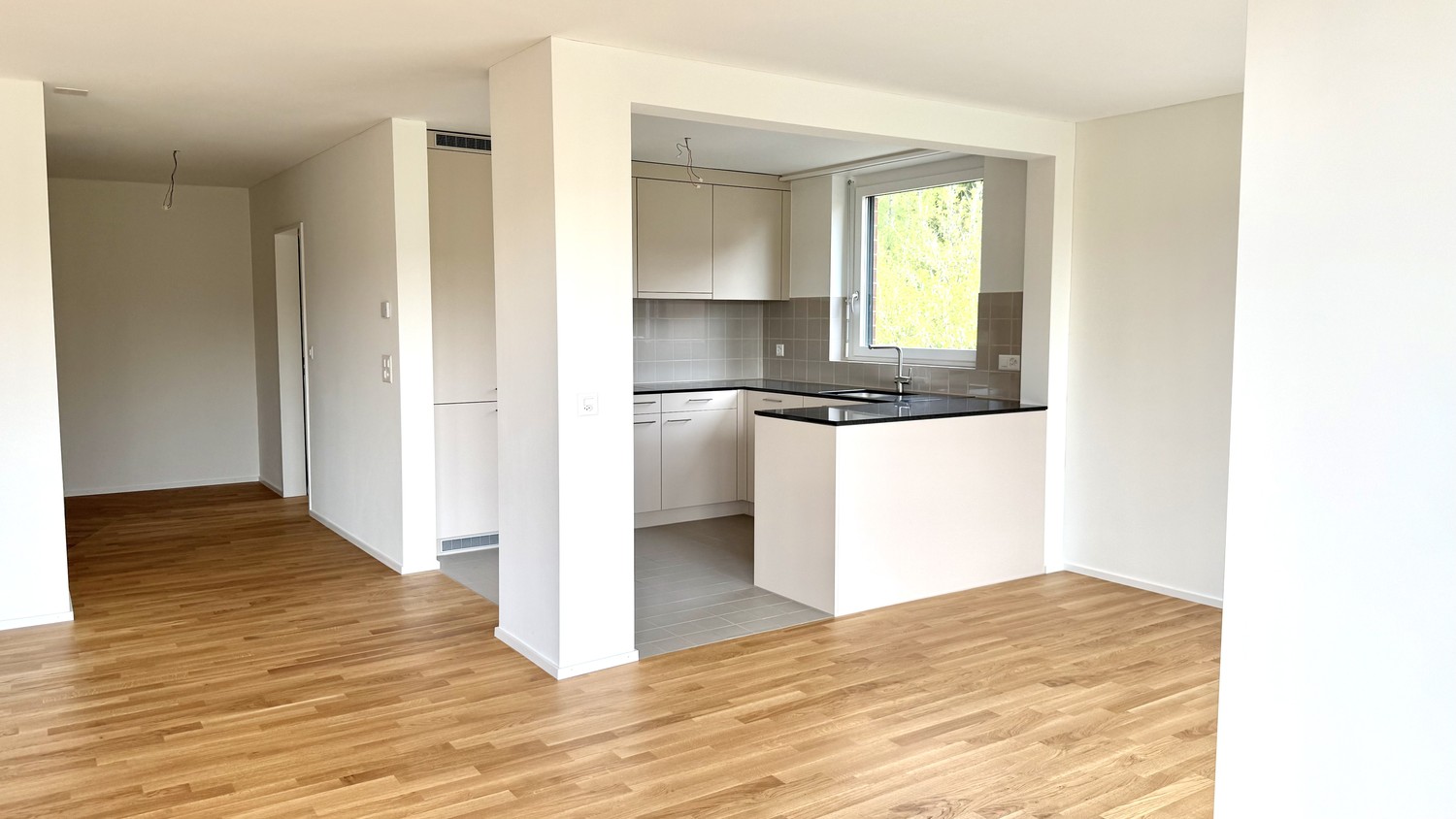 4 ½ rooms apartment, photo 2 of 10