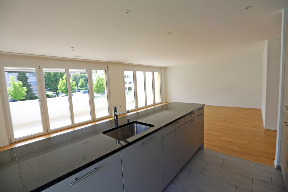 4 ½ rooms apartment (4)