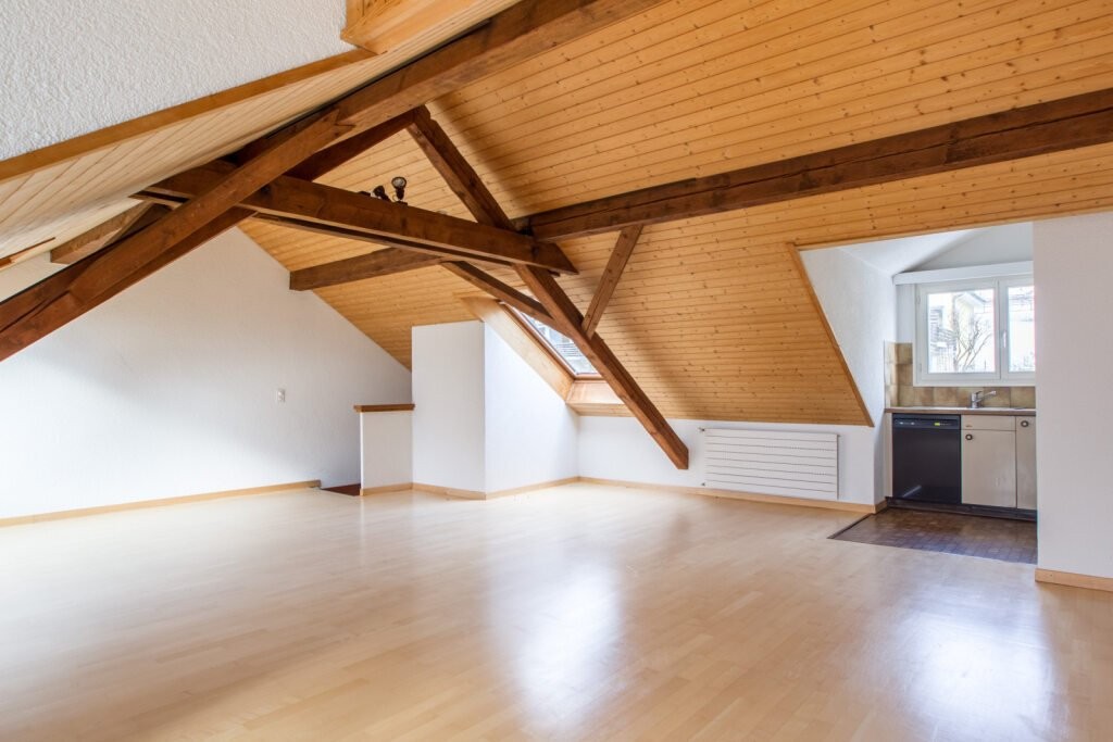 2 ½ pièces duplex