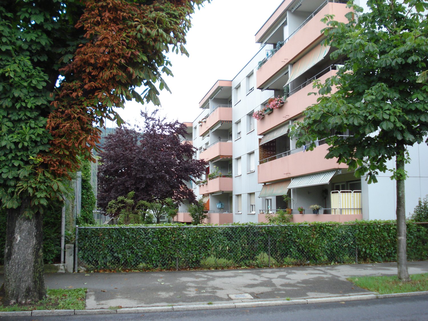 Geräumige renovierte 3,5-Zimmer-Wohnung mit Balkon & Lift – im sehr beliebten Gurzelen-Quartier in Biel