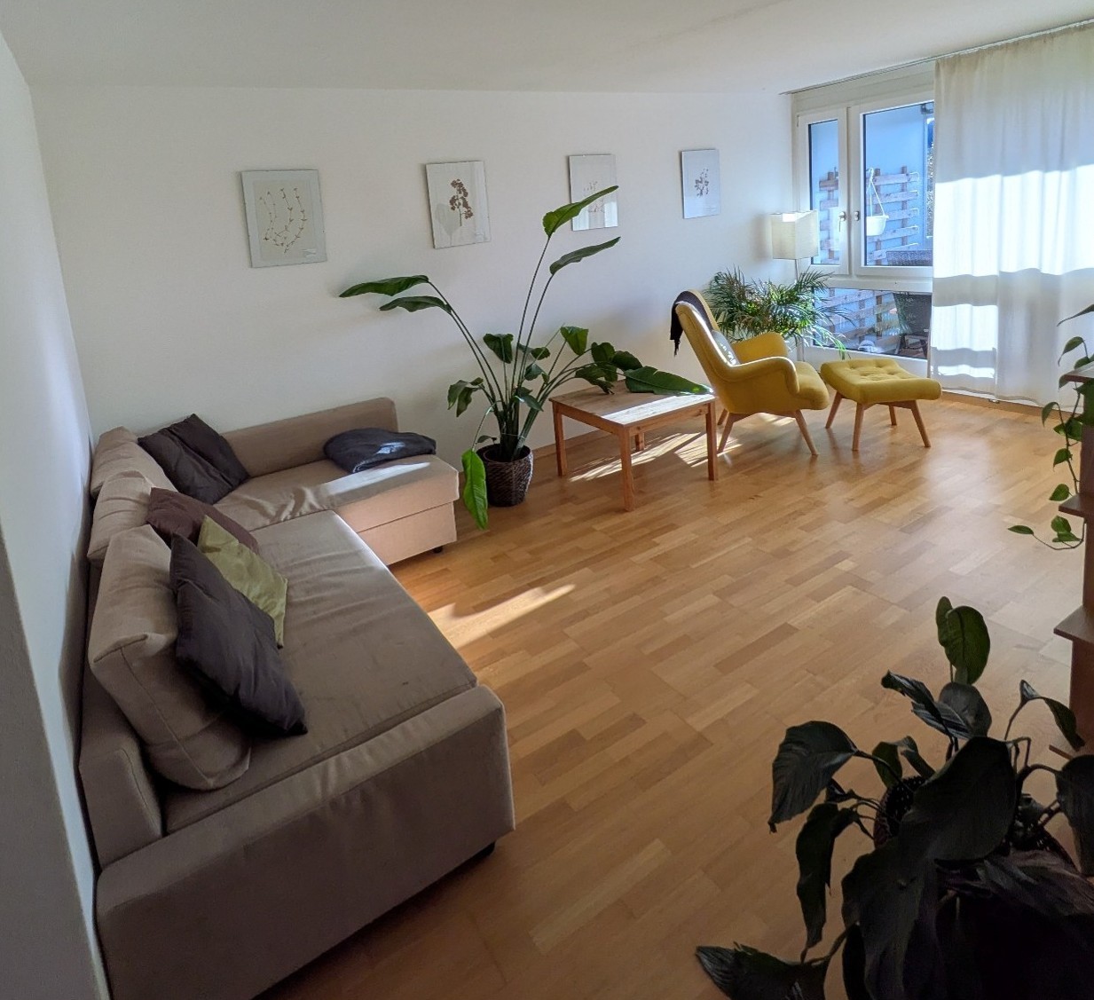 2 ½ room apartment