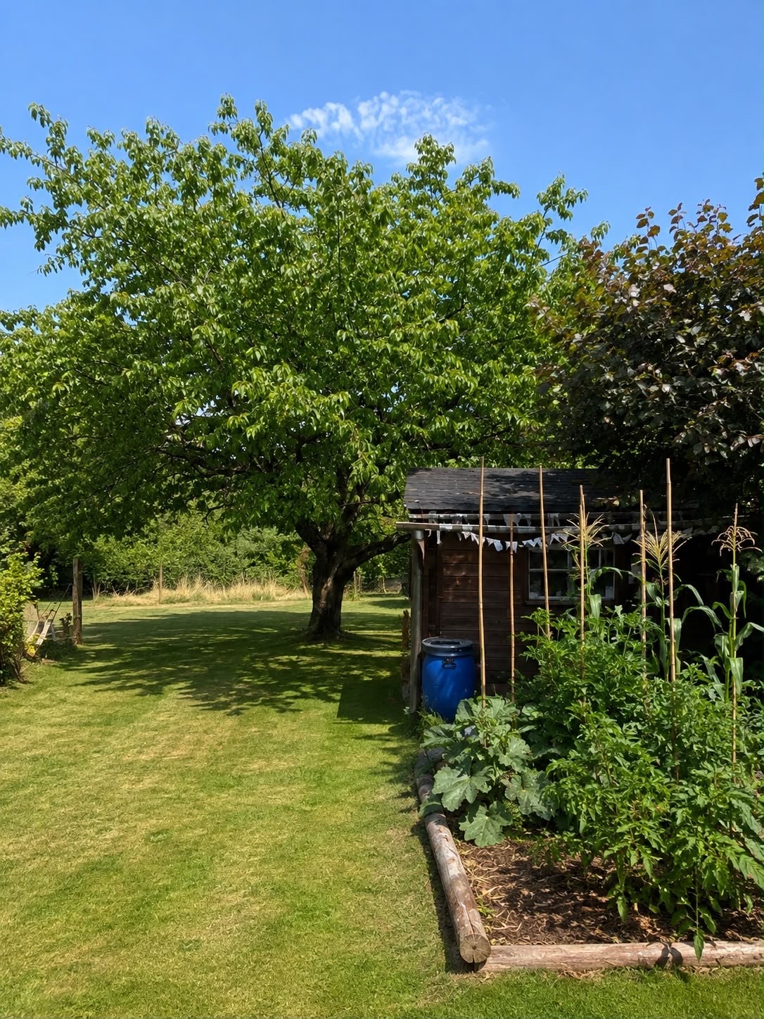 4 ½ rooms single house