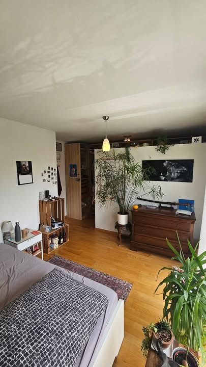 Room in a shared flat