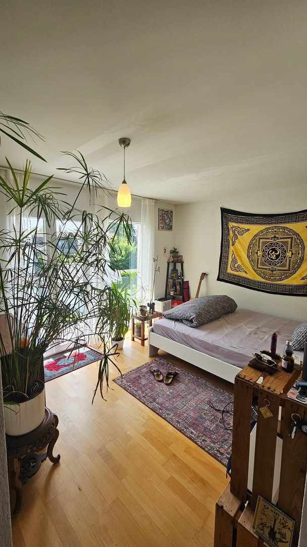 Room in a shared flat