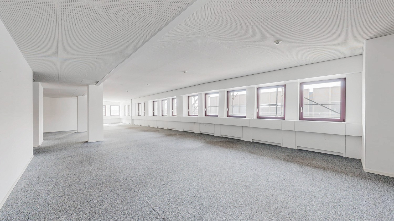 250m² office
