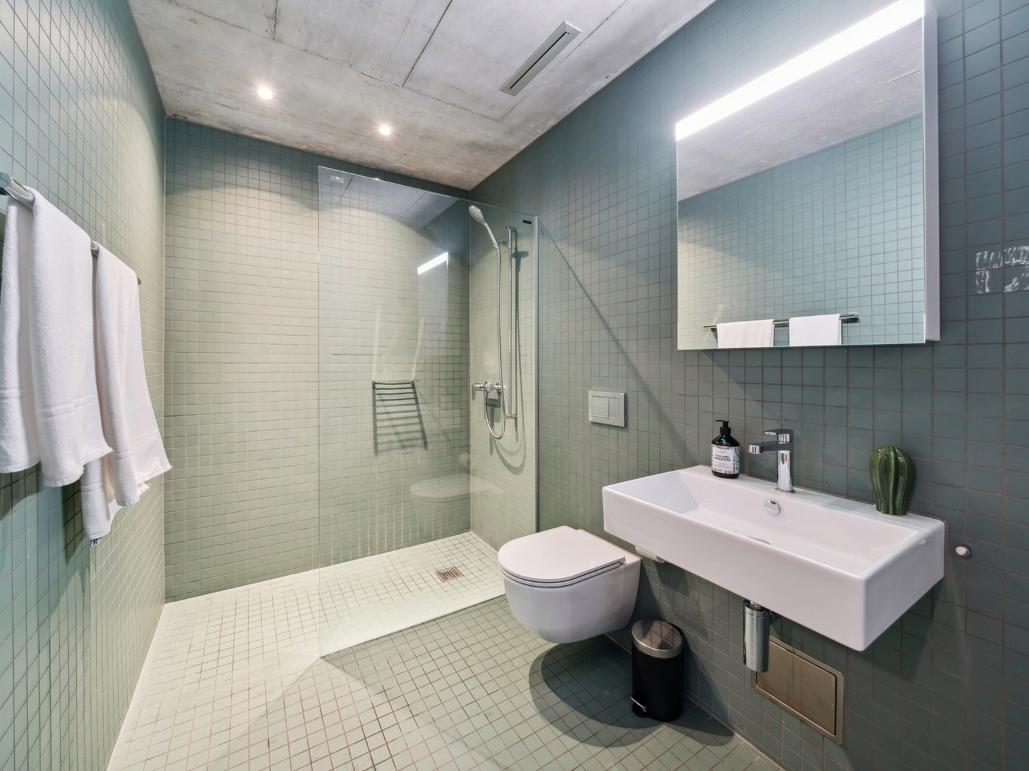 2 ½ rooms furnished flat