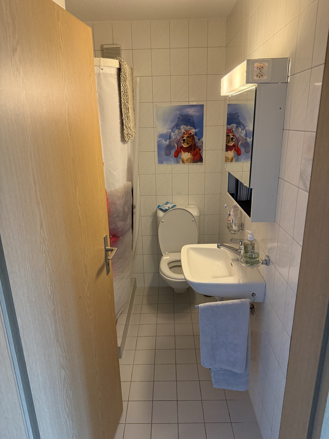 Room in a shared flat