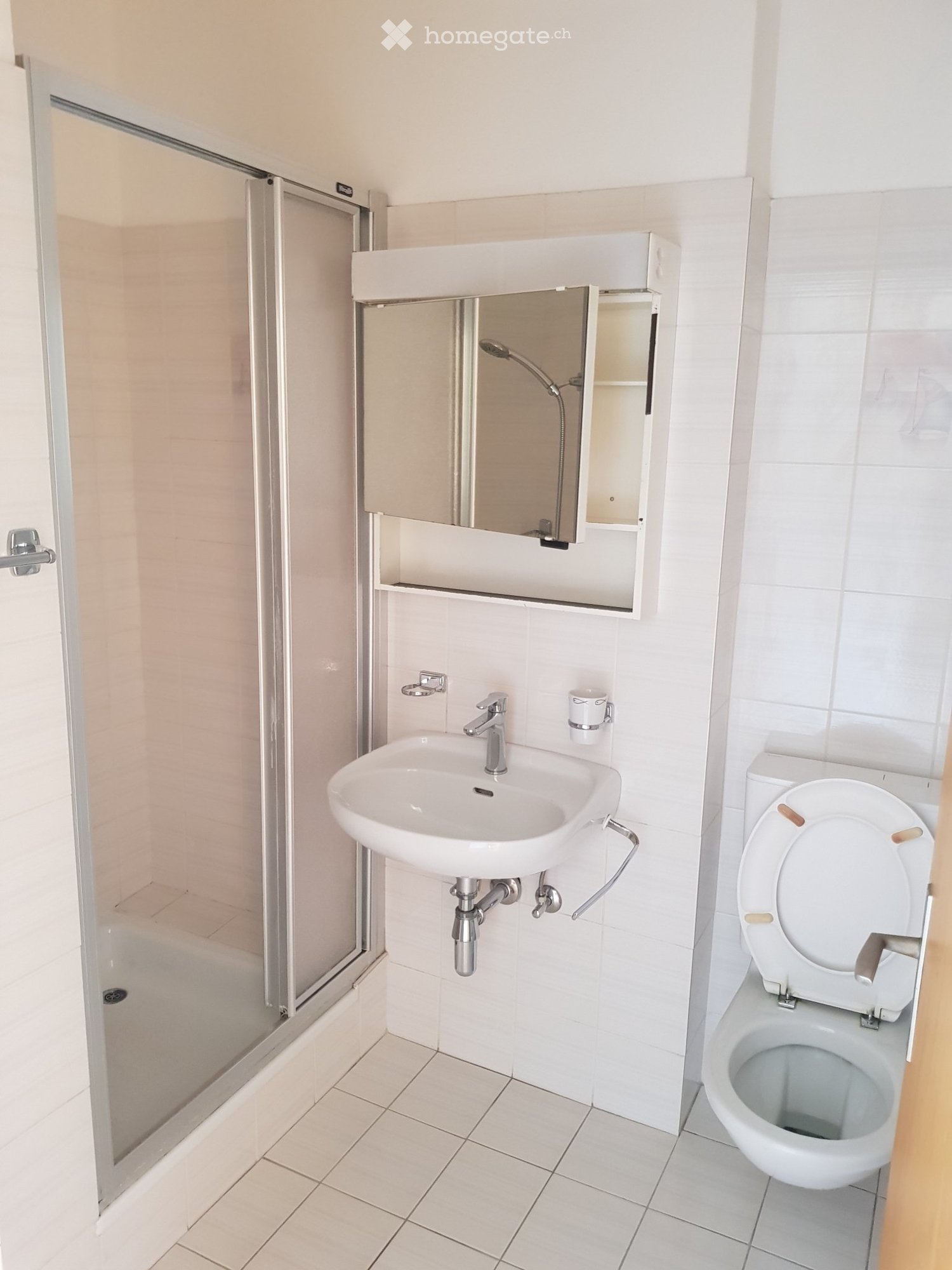 4 ½ Zimmer Wohnung