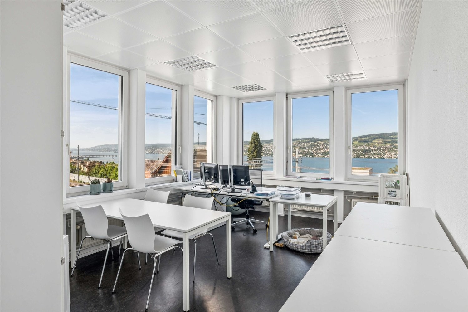 381m² office, photo 4 of 6