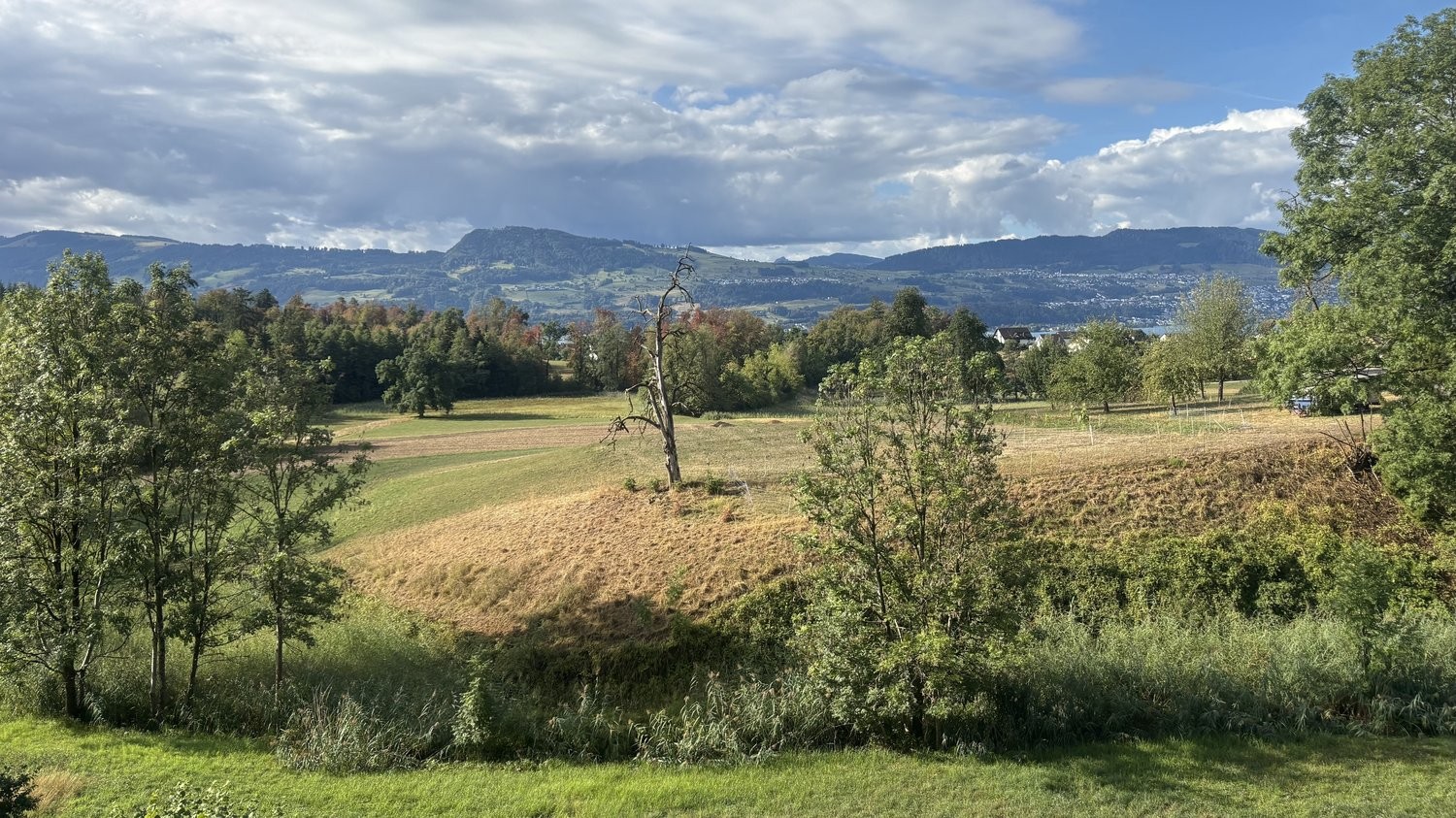 Appartamento arredato di 5 ½ locali