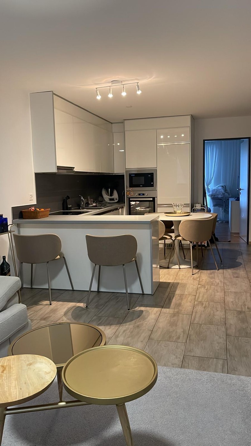 Appartamento di 3 ½ locali