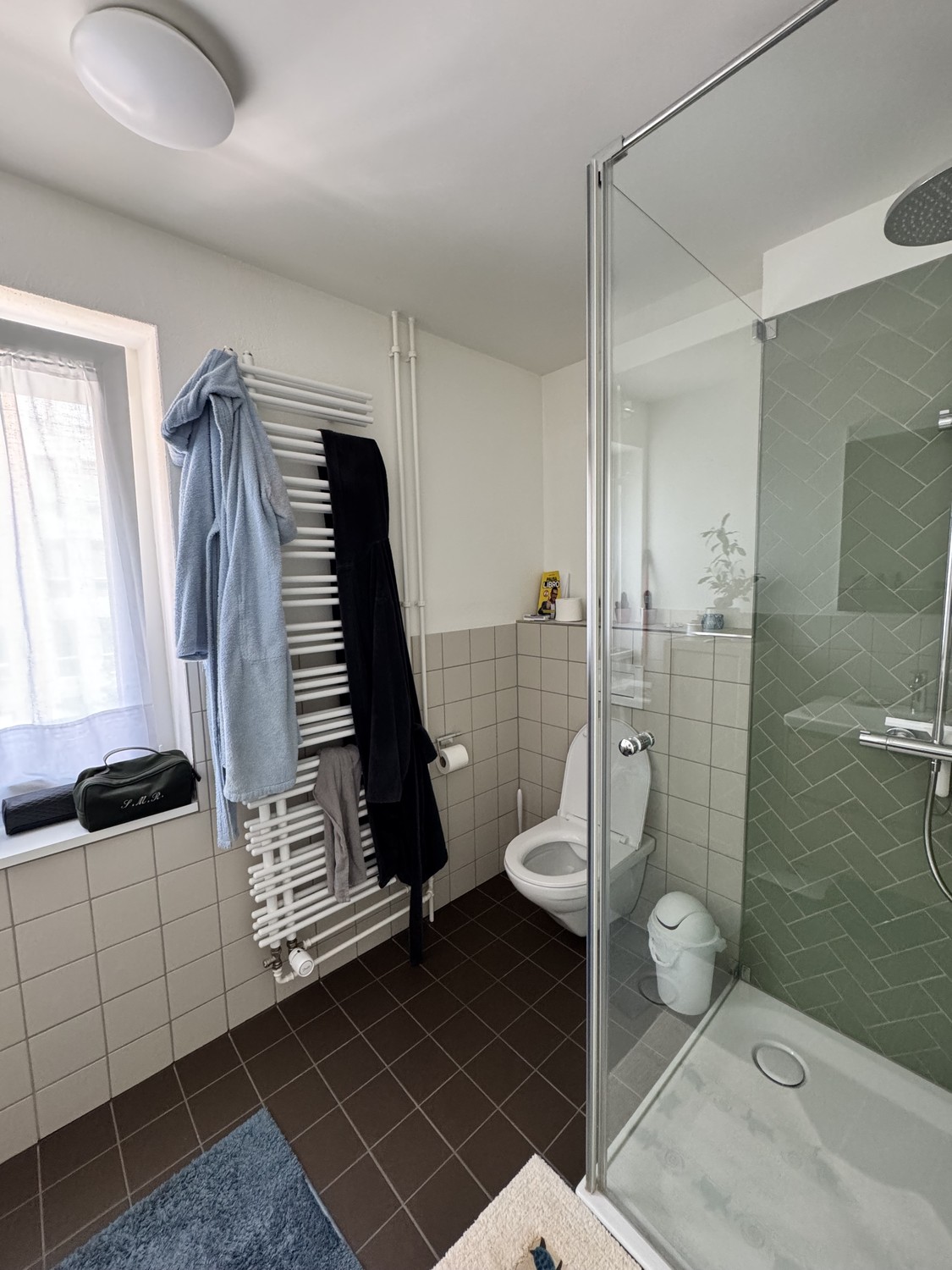 2 ½ rooms apartment, photo 6 of 10