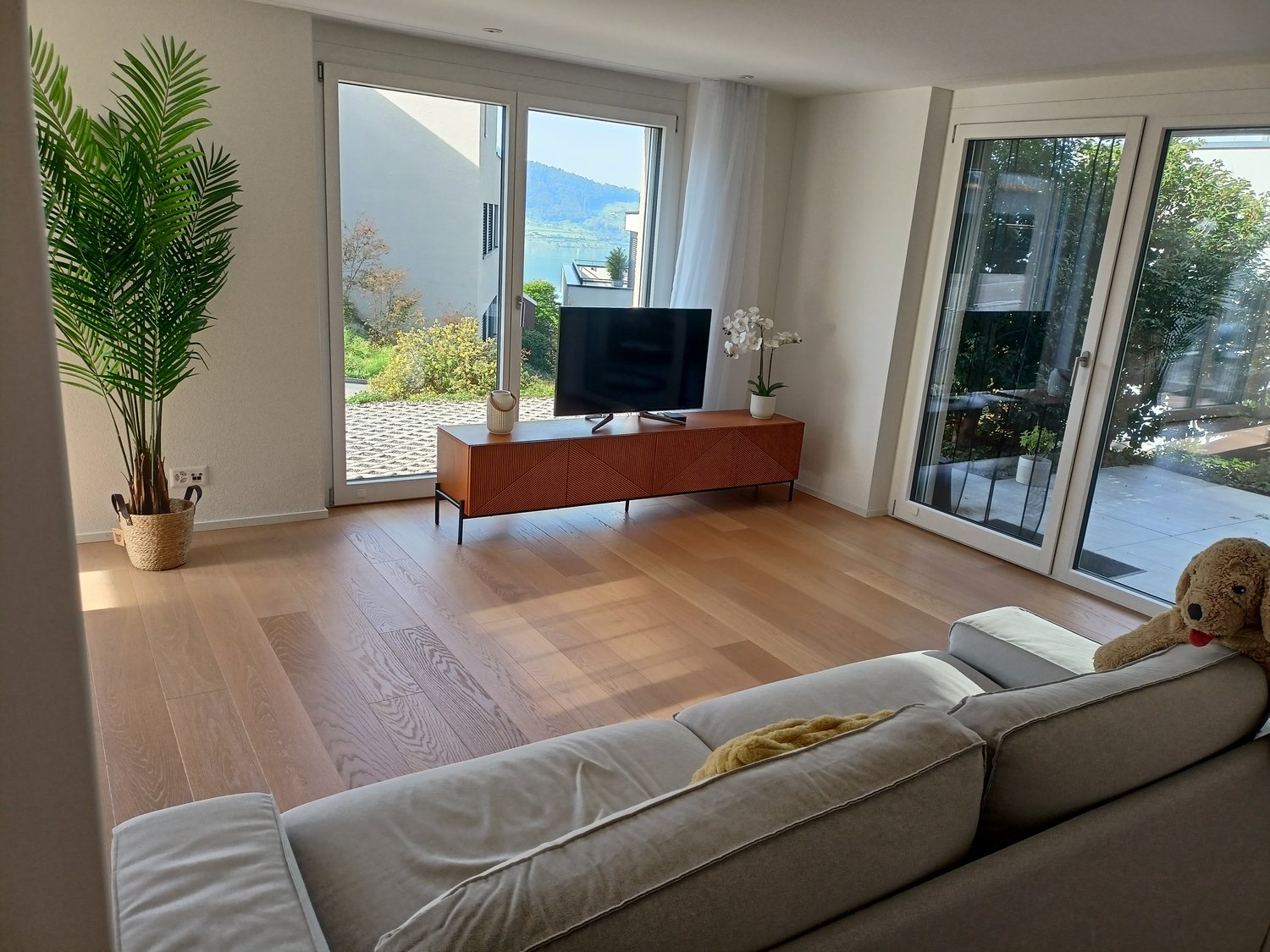 Room in a shared flat