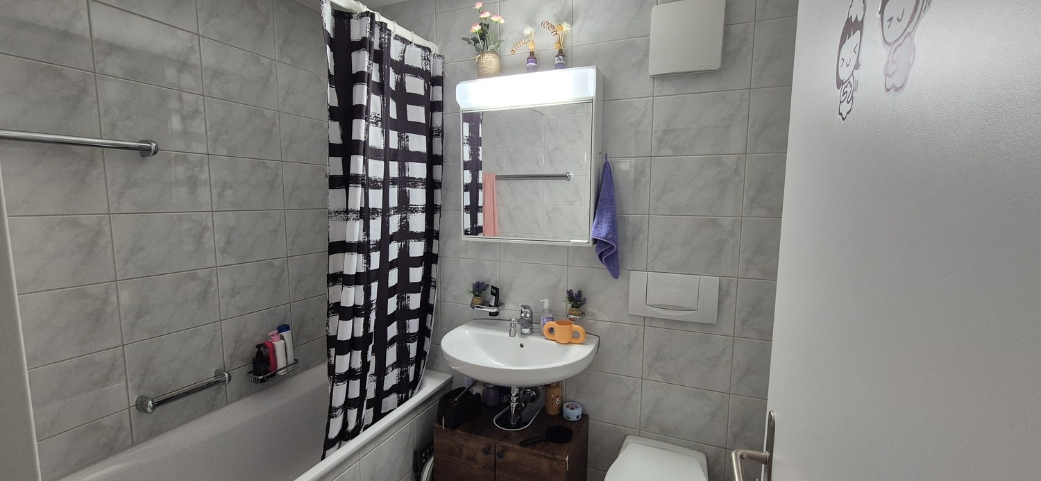 2 ½ rooms apartment